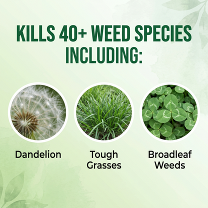 🌿US 𝙊𝙛𝙛𝙞𝙘𝙞𝙖𝙡 𝙎𝙩𝙤𝙧𝙚 | Healrize® 2-in-1 Max Strength Herbicide:𝐅𝐚𝐬𝐭 𝐀𝐜𝐭𝐢𝐧𝐠 𝐑𝐞𝐬𝐮𝐥𝐭𝐬 on Glyphosate-Resistant Weeds🌞