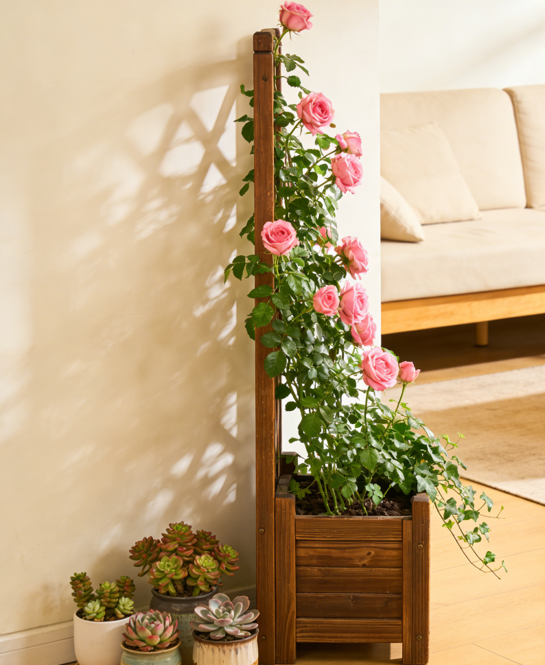 🌹Rustic Diamond-Lattice Wooden Planter with Integrated Trellis – FSC-Certified Acacia Wood, Weather-Resistant Finish, One-of-a-Kind Vertical Garden Solution for Climbing Roses & Vines
