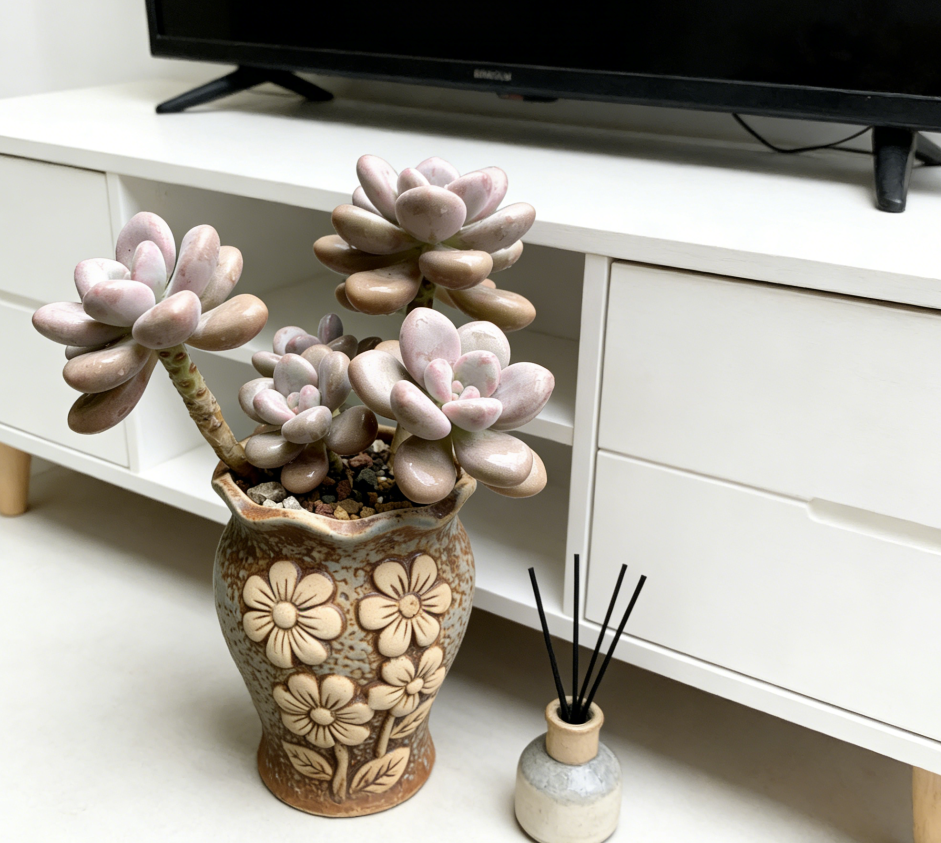 🌸 Vintage Floral Embossed Ceramic Succulent Bonsai Pot – Hand-Carved 3D Flower Relief, Weathered Blue-Brown Glaze, One-of-a-Kind Tall Tapered Planter for Graptopetalum Amethystinum & Woody Succulents