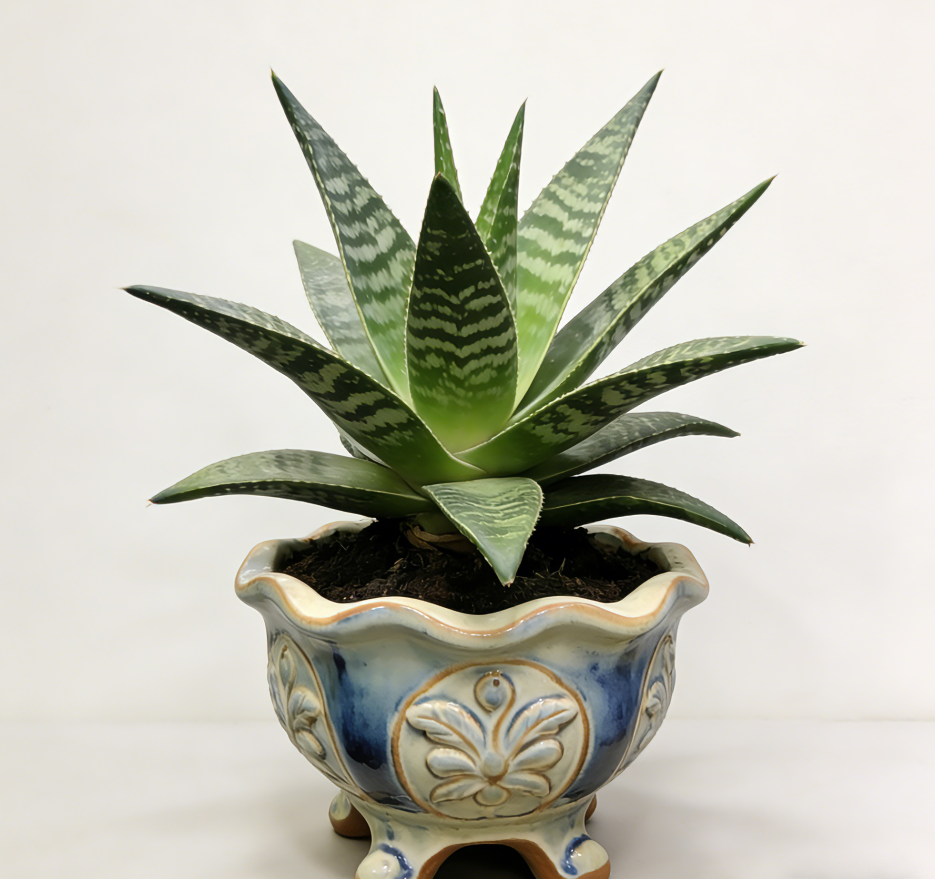 🌿Baroque Revival Footed Ceramic Planter – Hand-Carved Floral Medallions, Reactive Blue-Ivory Glaze, One-of-a-Kind Ornate Vessel for Aloe & Succulent Displays